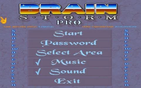 BrainStorm Pro