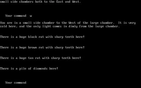 EAMON screenshot 3