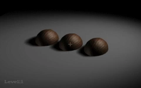 Shell Game