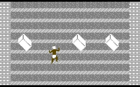 AZTEC CHALLENGE screenshot 4