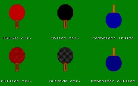 TABLE TENNIS SIMULATION screenshot 5