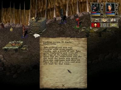 BEYOND DIVINITY screenshot 11