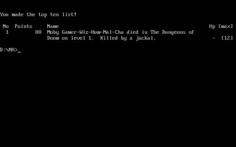 NETHACK screenshot 11