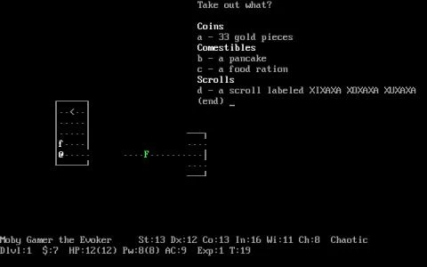 NETHACK screenshot 18