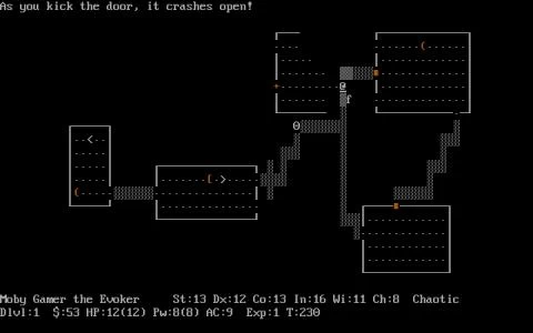 NETHACK screenshot 3