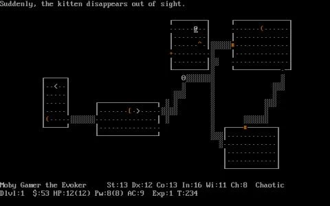 NETHACK screenshot 4