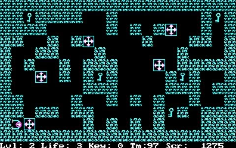 WIZARD'S DOOM screenshot 9
