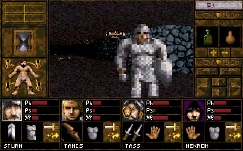 ROL CRUSADERS screenshot 2