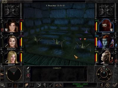 WIZARDRY 8 screenshot 26
