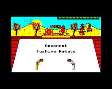 KARATE COMBAT screenshot 7