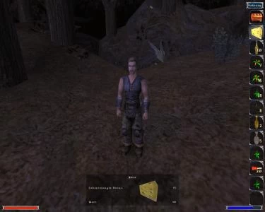 GOTHIC screenshot 35