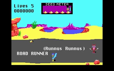 ROAD RUNNER screenshot 2