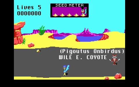 ROAD RUNNER screenshot 3
