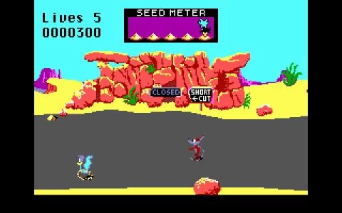 ROAD RUNNER screenshot 4