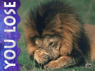 LION screenshot 5