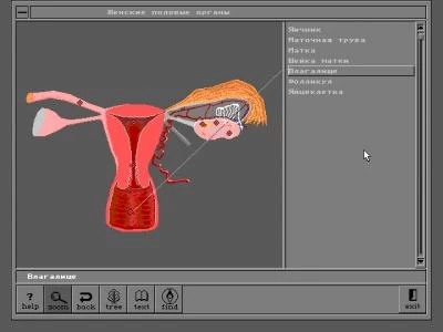 ANATOMIK screenshot 10