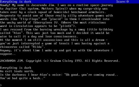 JACARANDA JIM screenshot 2
