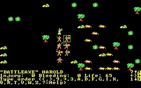 WIZARD'S CROWN screenshot 4