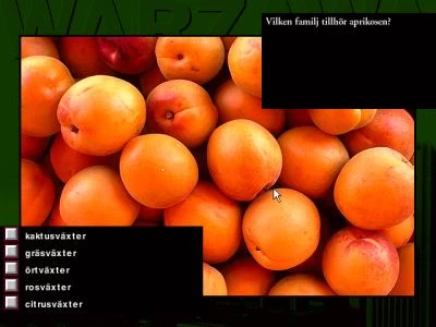 BACKPACKER 2 screenshot 6