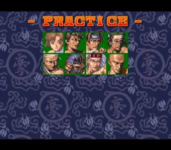 POWER INSTINCT screenshot 21