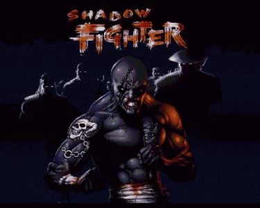 SHADOW FIGHTER screenshot 3