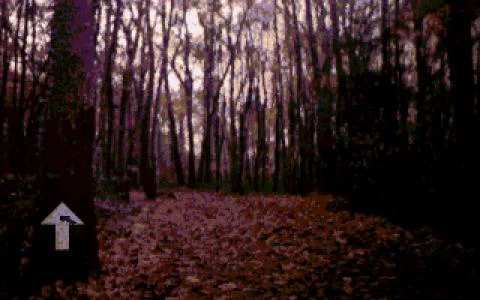 PSYCHO KILLER screenshot 4