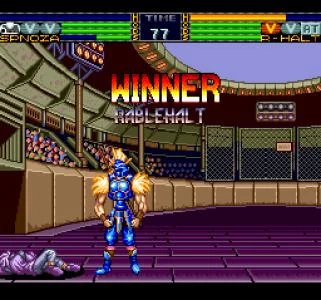 FLASH HIDERS screenshot 6