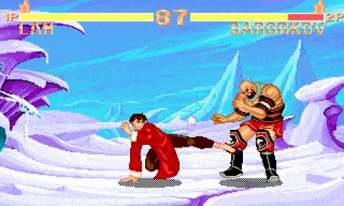 SUPER FIGHTER screenshot 12