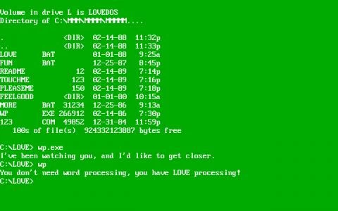 LOVEDOS screenshot 2