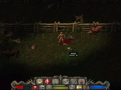 DIVINE DIVINITY screenshot 3