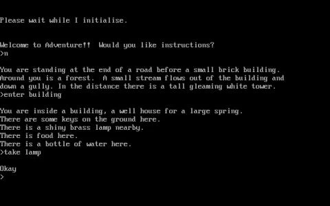 ADVENTURE screenshot 3