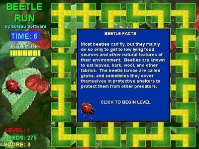 BEETLE RUN screenshot 3