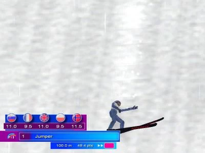 SKI JUMPING 2004 screenshot 9