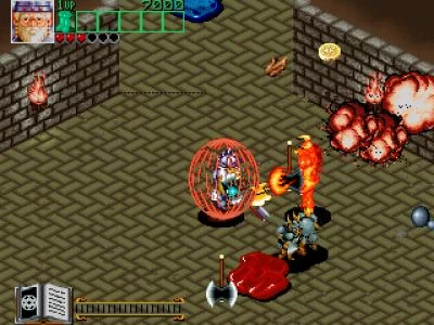 WIZARD FIRE screenshot 14